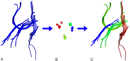Fig 1.