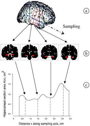 Fig 1.