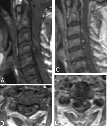 Fig 3.