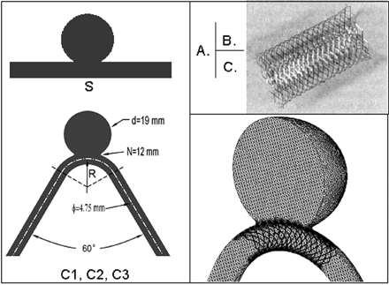 Fig 1.