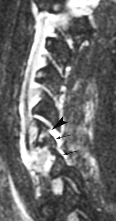 Fig 4.