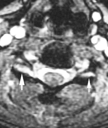 Fig 5.