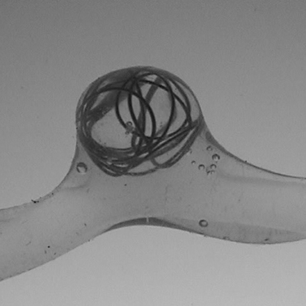 Fig 2.