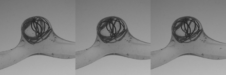Fig 4.