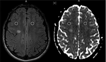 Fig 1.