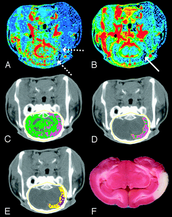 Fig 6.