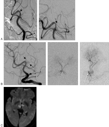   Fig 1. 