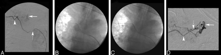 Fig 1.