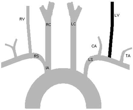 Fig 2.