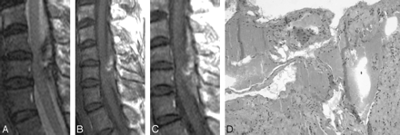 Fig 4.