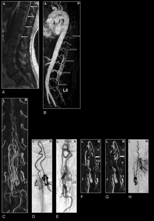 Fig 5.