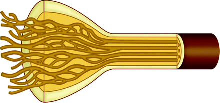 Fig 4.