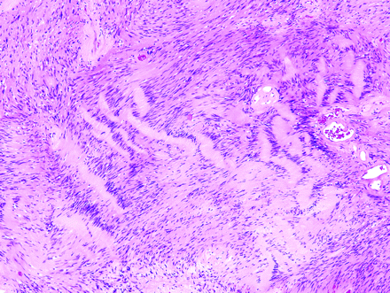 Fig 7.
