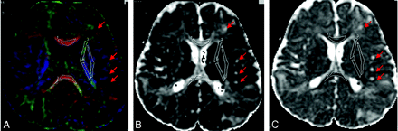 Fig 2.