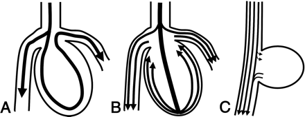 Fig 1.