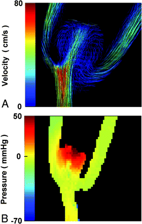 Fig 3.