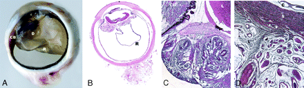 Fig 3.