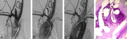 Fig 3.