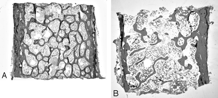 Fig 3.