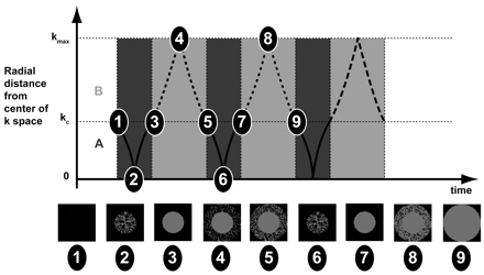 Fig 1.
