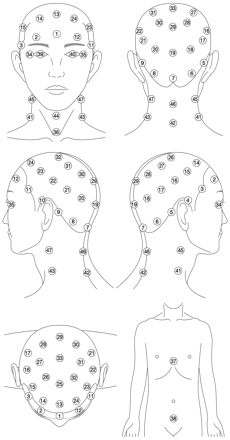 Fig 2.