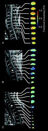 Fig 1.
