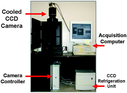 Fig 2.