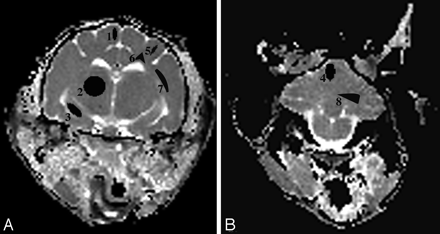 Fig 1.