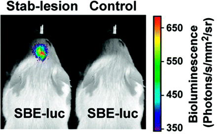 Fig 3.