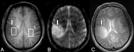 Fig 1.