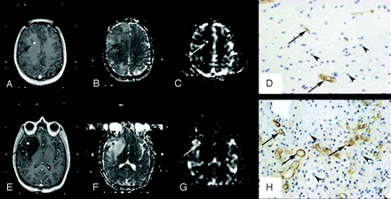 Fig 1.