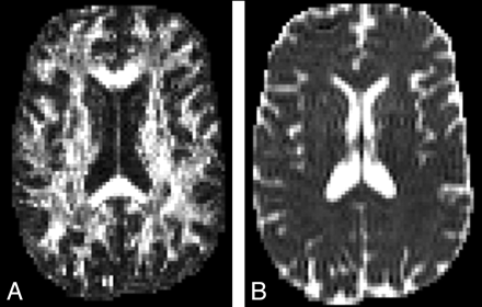 Fig 1.
