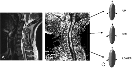 Fig 1.