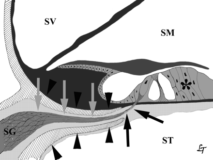 Fig 6.