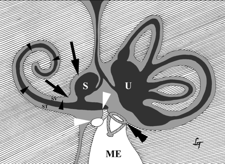 Fig 8.
