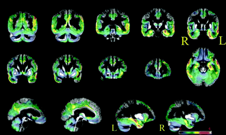Fig 1.