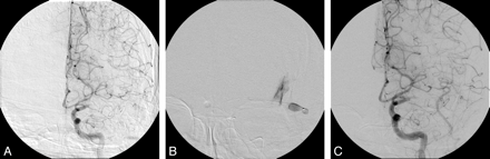 Fig 1.