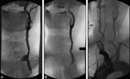 Fig 1.