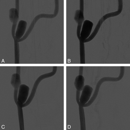 Fig 1.