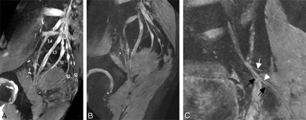 Fig 3.