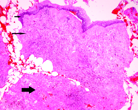 Fig 7.