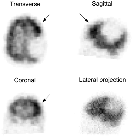 Fig 1.