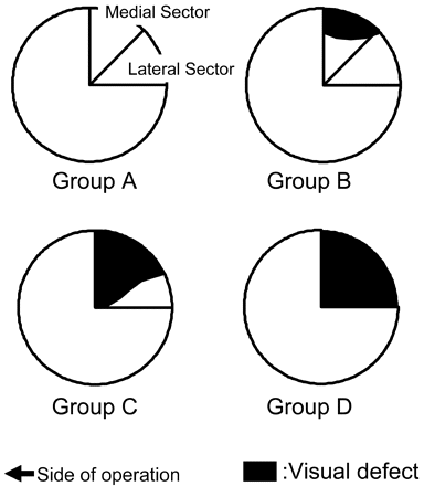 Fig 1.