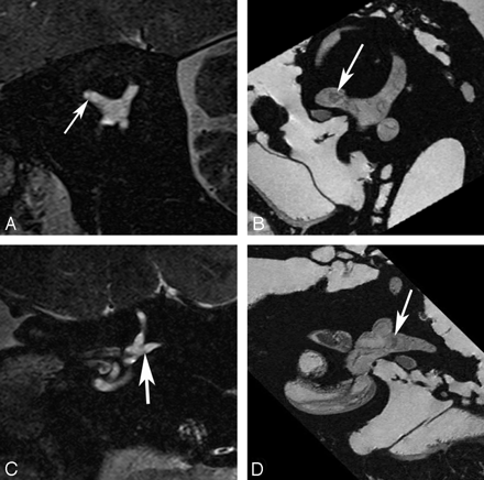 Fig 5.