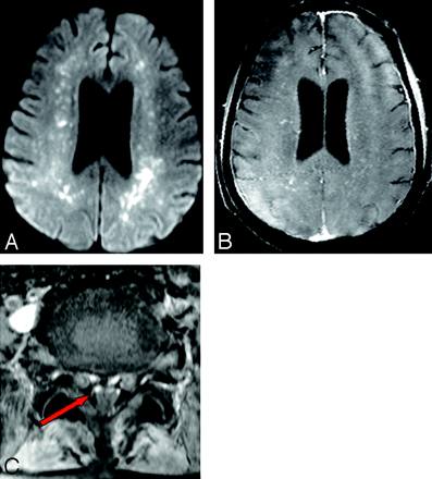 Fig 1.