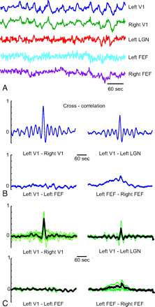 Fig 2.