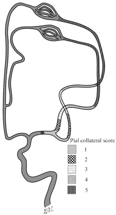 Fig 1.