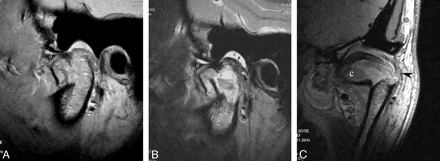 Fig 1.