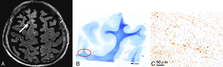 Fig 7.