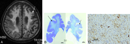 Fig 8.